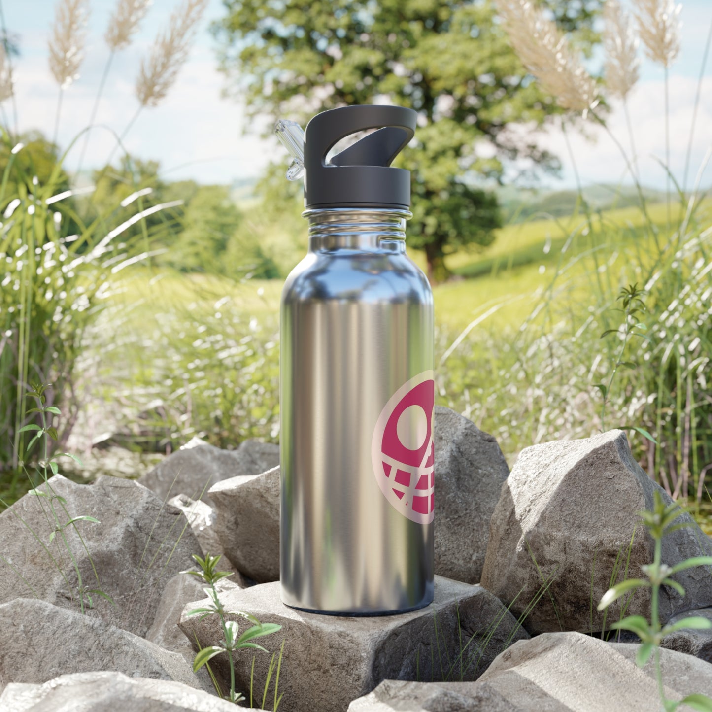 OP Flamingo Stainless Steel Water Bottle With Straw, 20oz