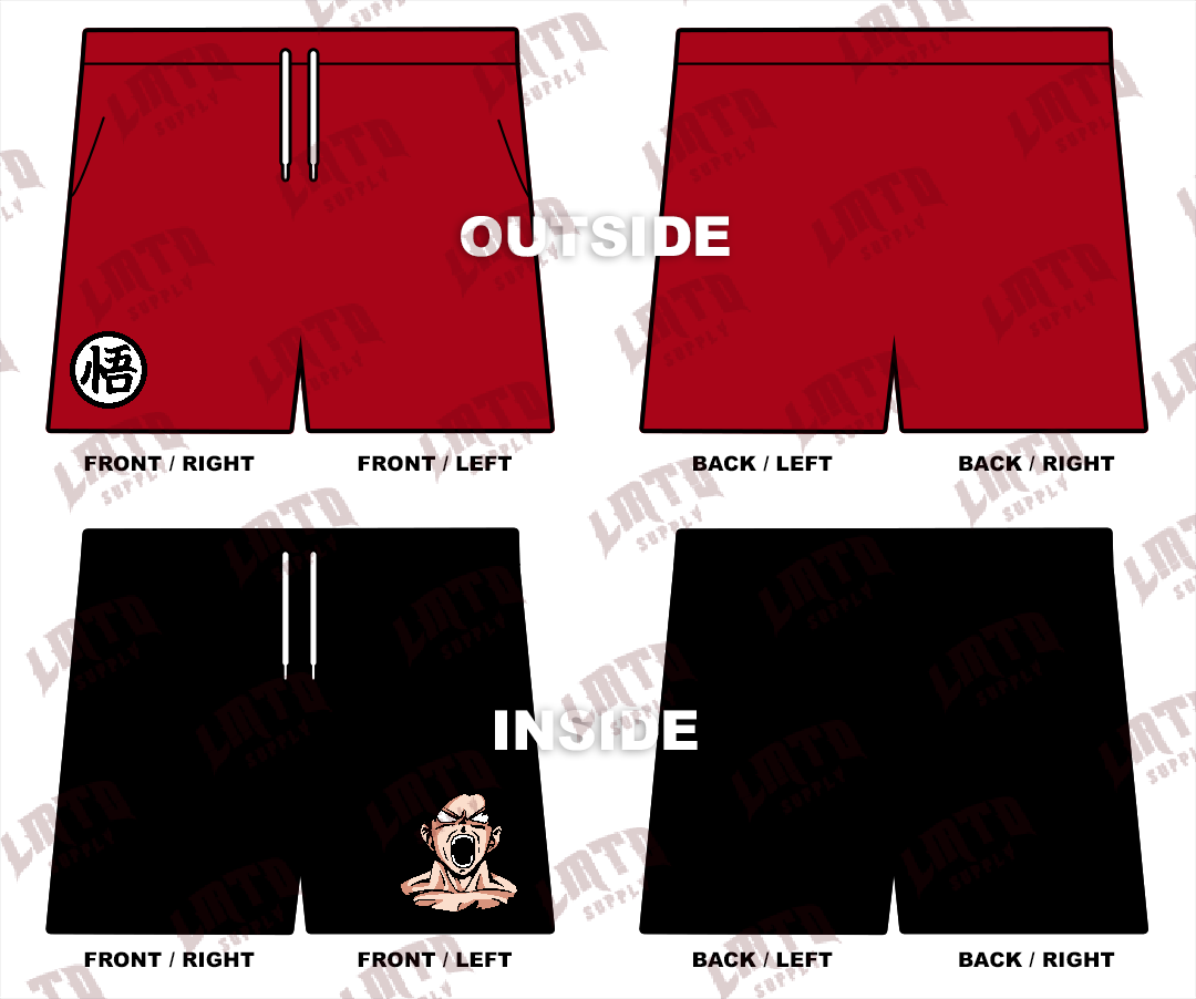 DBZ 13 Men's 2-in-1 Shorts