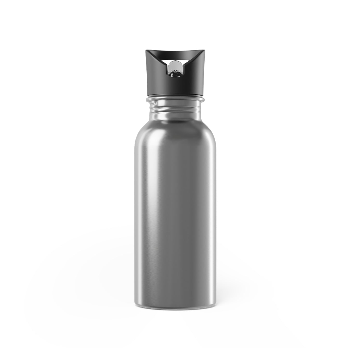 OP Flamingo Stainless Steel Water Bottle With Straw, 20oz