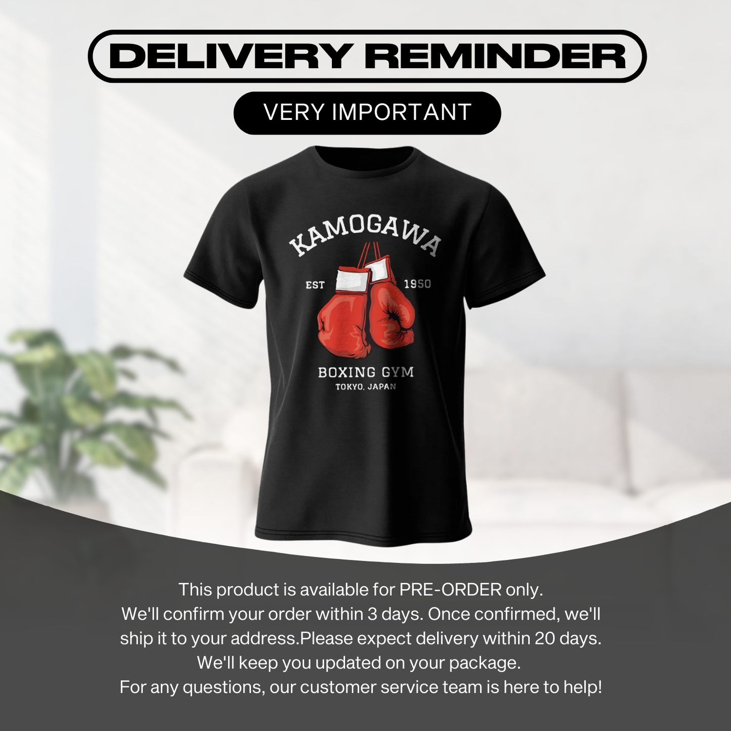 Pre Order Anime T-Shirt Multiple Designs