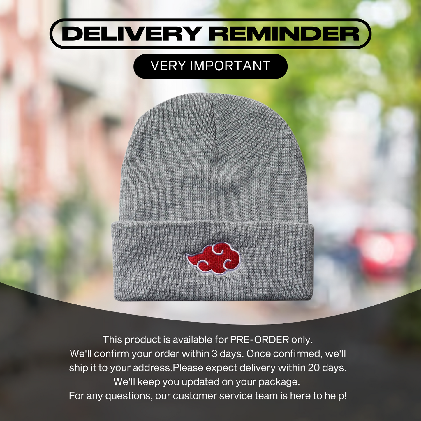 Pre Order Anime Beanie Hats