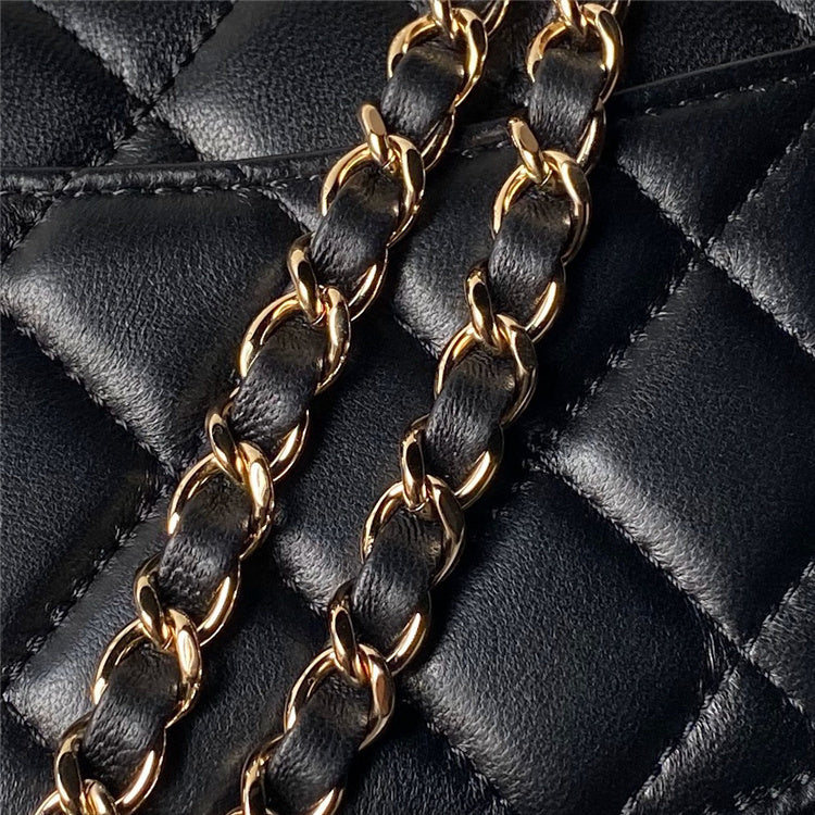 CC Classic Purse