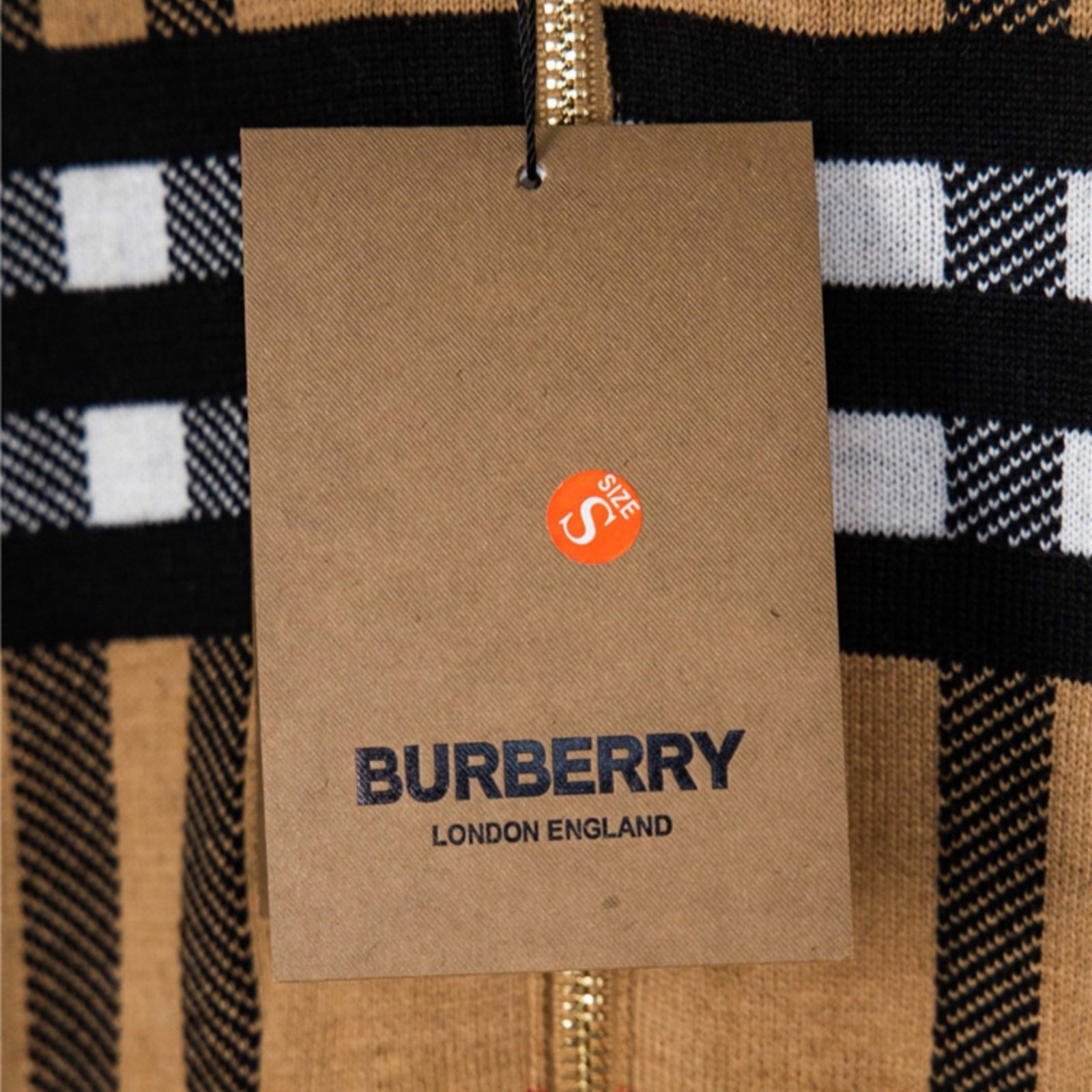 Brown Stripe Brburry Hoodie - Image 7