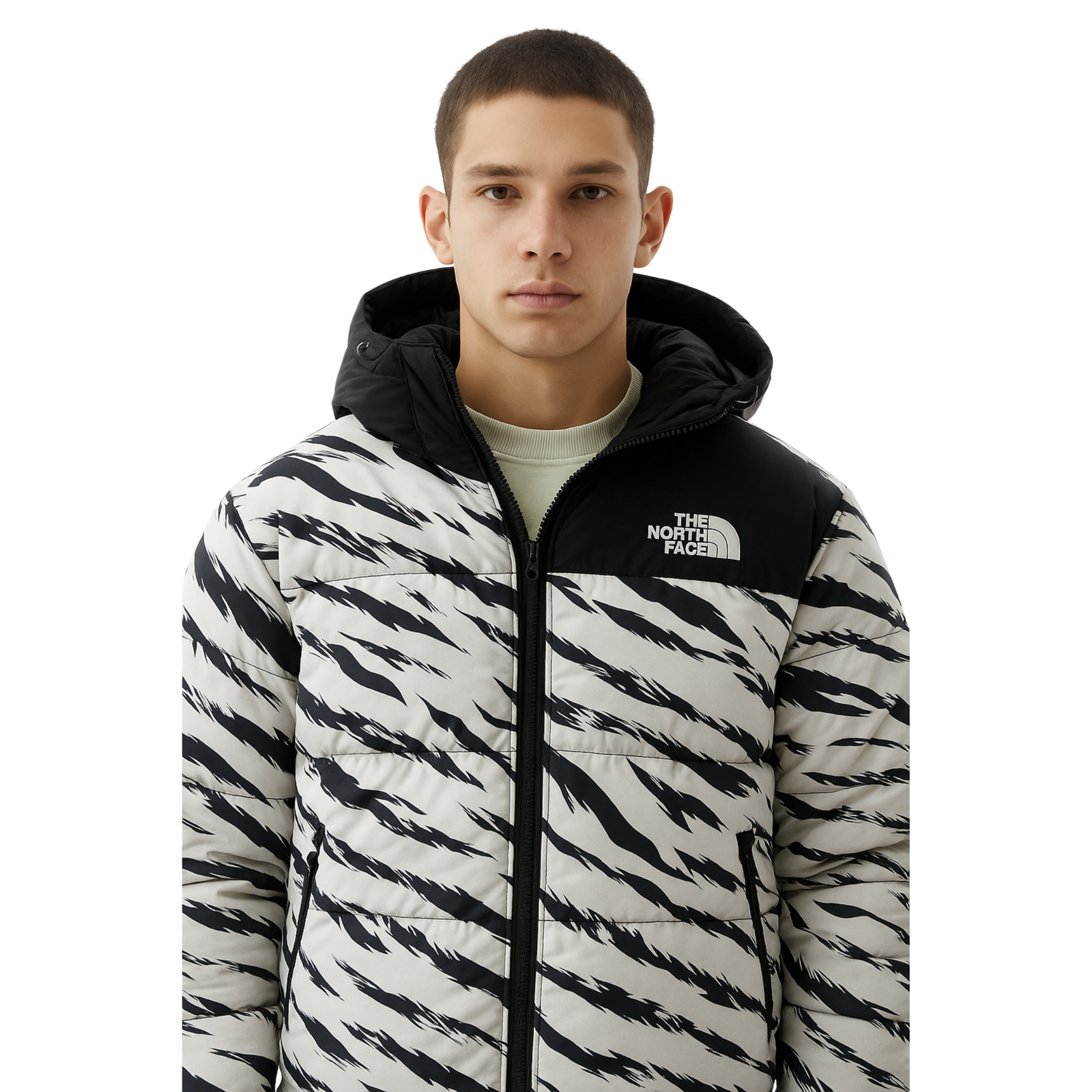 Stripe Design North F Jacket