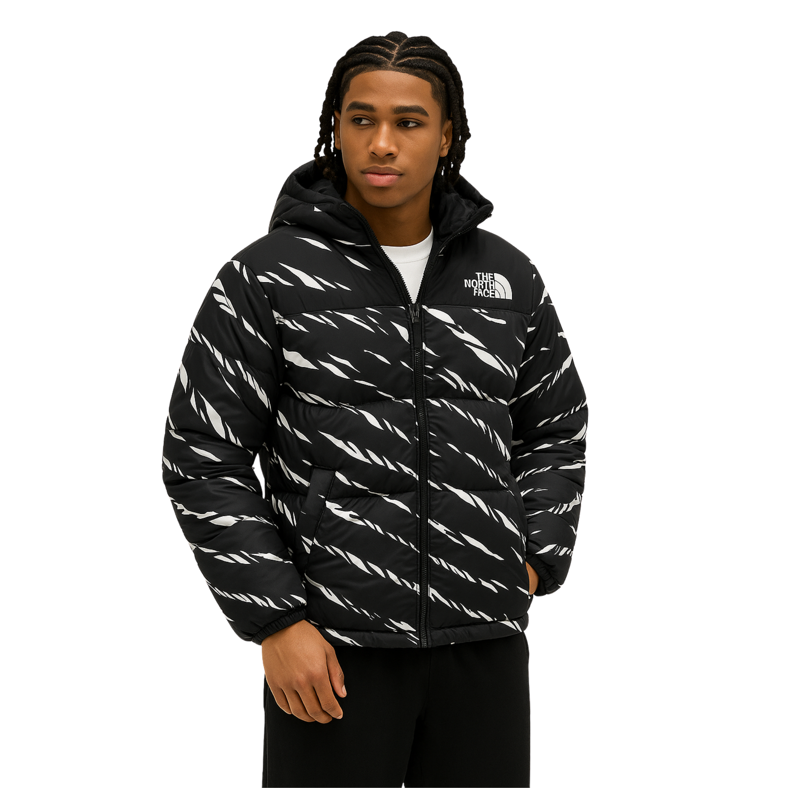 Stripe Design North F Jacket - Image 4