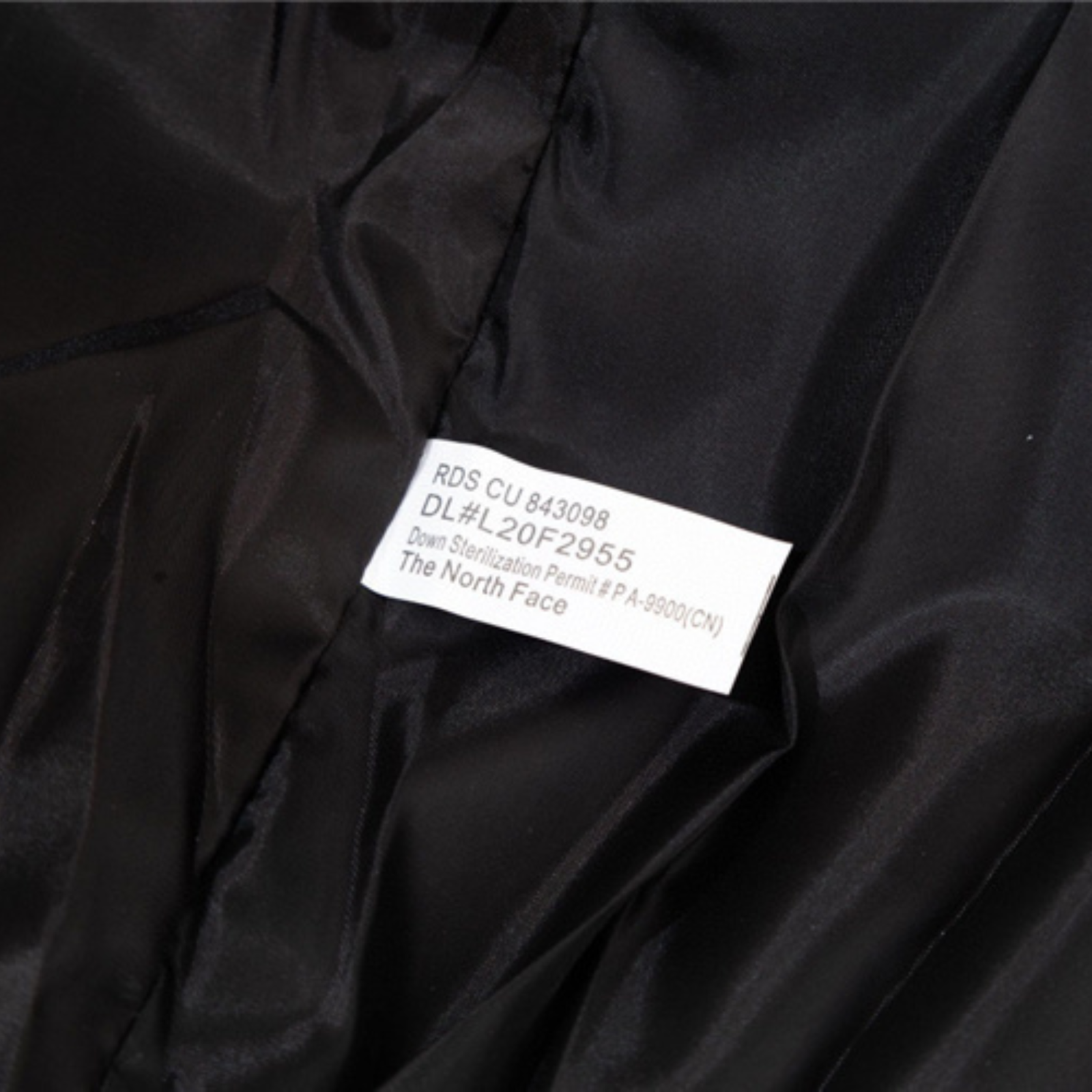 Stripe Design North F Jacket - Image 11